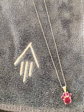 Greater Good Paw Print Necklace – Meaningful Animal Lover Statement Piece